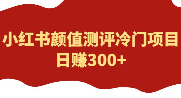 外面1980的项目，小红书颜值测评冷门项目，日赚300+【揭秘】-云创网