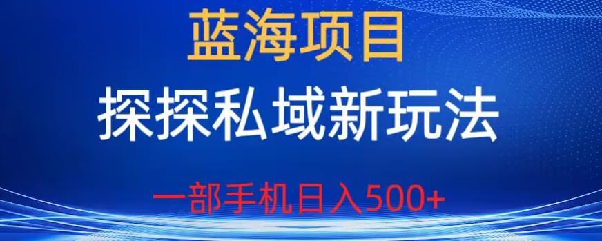 蓝海项目，探探私域新玩法，一部手机日入500+很轻松【揭秘】-云创网