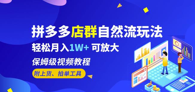 拼多多店群自然流玩法，轻松月入1W+保姆级视频教程（附上货、拍单工具）-云创网