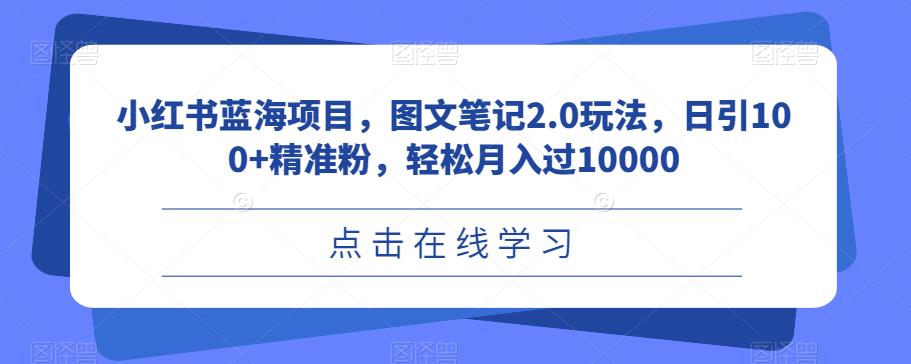 小红书蓝海项目，图文笔记2.0玩法，日引100+精准粉，轻松月入过10000【揭秘】-云创网