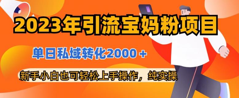 2023年引流宝妈粉项目，单日私域转化2000＋，新手小白也可轻松上手操作，纯实操-云创网