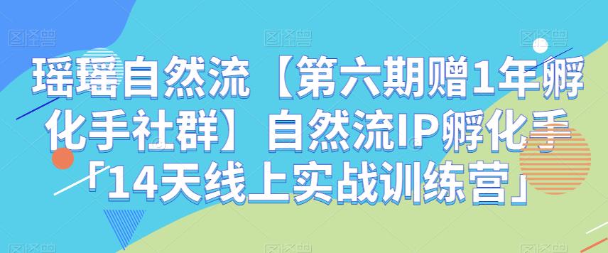 瑶瑶自然流【第六期赠1年孵化手社群】自然流IP孵化手「14天线上实战训练营」-云创网