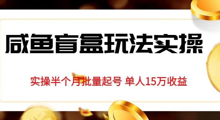 独家首发咸鱼盲盒玩法实操，半个月批量起号单人15万收益【揭秘】-云创网