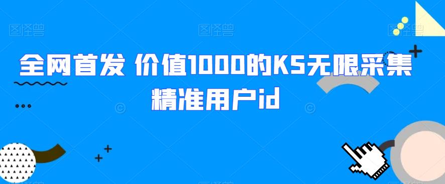 全网首发 价值1000的KS无限采集精准用户id-云创网