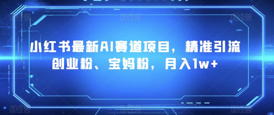 小红书最新AI赛道项目，精准引流创业粉、宝妈粉，月入1w+-云创网