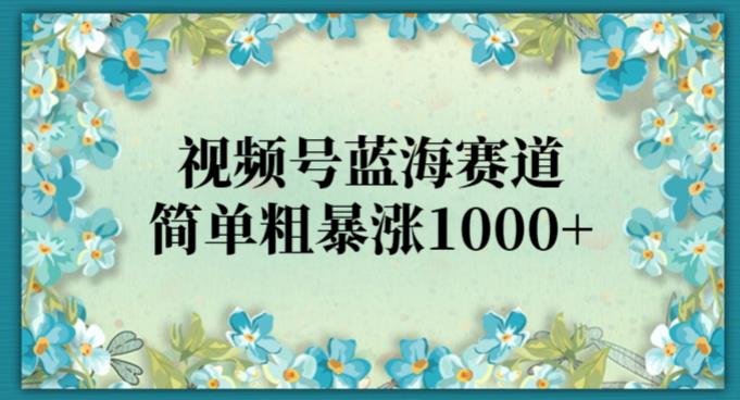 视频号蓝海赛道，简单粗暴涨1000+-云创网