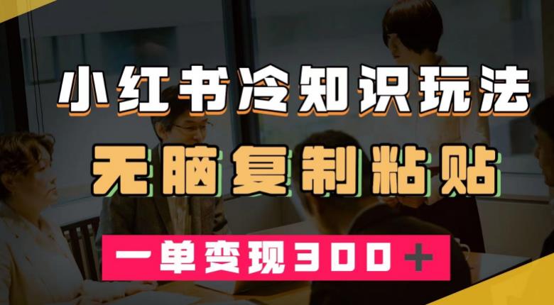 小红书冷知识玩法，无脑复制粘贴，一单变现300＋-云创网