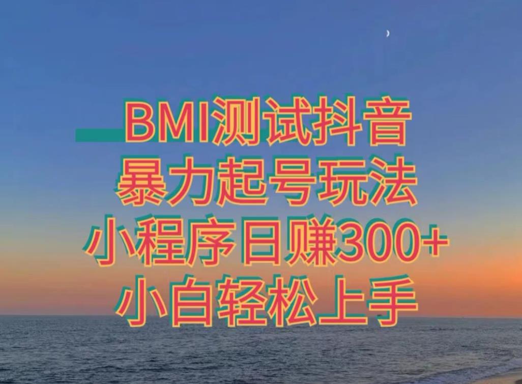 神图抖音小程序项目4.0版引流，日入300+暴力玩法小白轻松上手-云创网