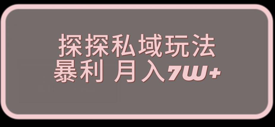 探探最新的私域玩法非常厉害操作简单，聊聊天就能有收入-云创网