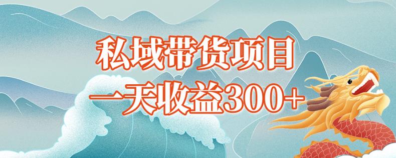 独孤私域带货蓝海项目，一天收益300+-云创网