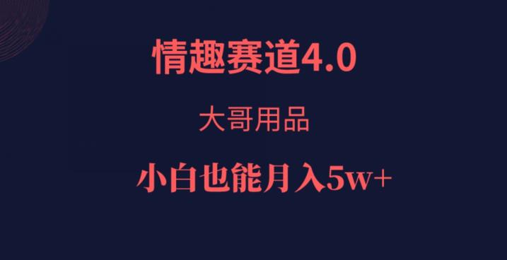 情趣赛道4.0，大哥用品，小白也能月入5w！-云创网