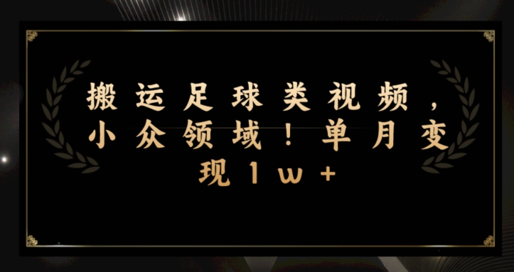 搬运足球类视频，小众领域！单月变现1w+-云创网