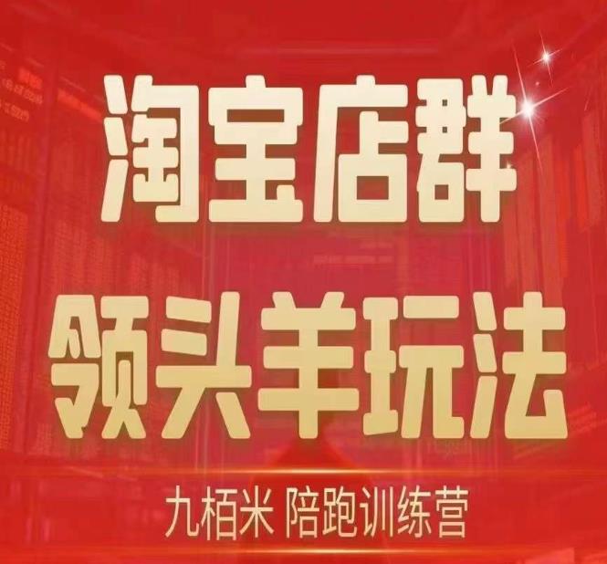 九栢米-淘宝店群领头羊玩法，教你整个淘宝店群领头羊玩法以及精细化/终极蓝海/尾销等内容-云创网