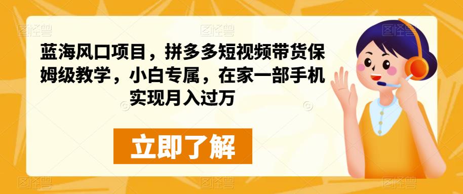 蓝海风口项目，拼多多短视频带货保姆级教学，小白专属，在家一部手机实现月入过万-云创网