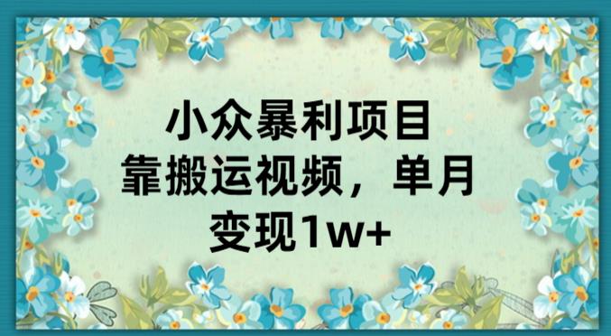 小众暴利项目，靠搬运视频，单月变现1w+-云创网