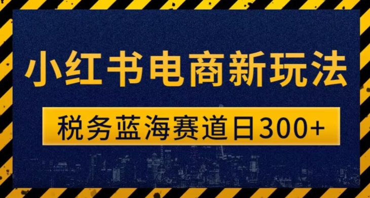 税务师小红书电商新玩法，知识撸金稳定300+-云创网