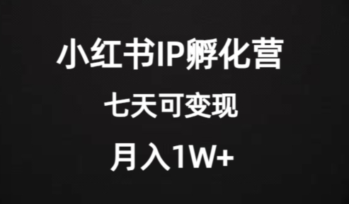 价值2000+的小红书IP孵化营项目，超级大蓝海，七天即可开始变现，稳定月入1W+-云创网