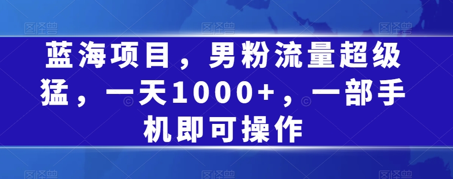 蓝海项目，男粉流量超级猛，一天1000+，一部手机即可操作【揭秘】-云创网