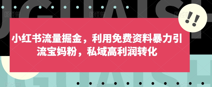 小红书流量掘金，利用免费资料暴力引流宝妈粉，私域高利润转化【揭秘】-云创网