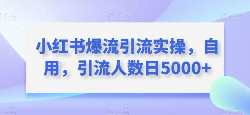 小红书爆流引流实操，自用，引流人数日5000+-云创网