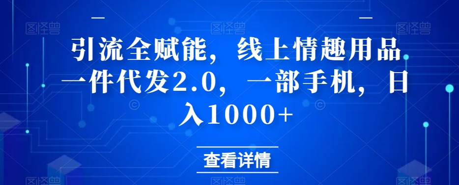 引流全赋能，线上情趣用品一件代发2.0，一部手机，日入1000+-云创网