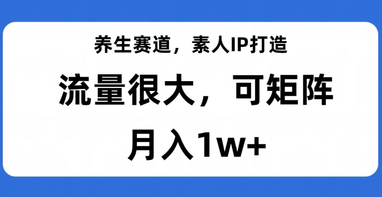 养生赛道，素人IP打造，流量很大，可矩阵，月入1w+【揭秘】-云创网