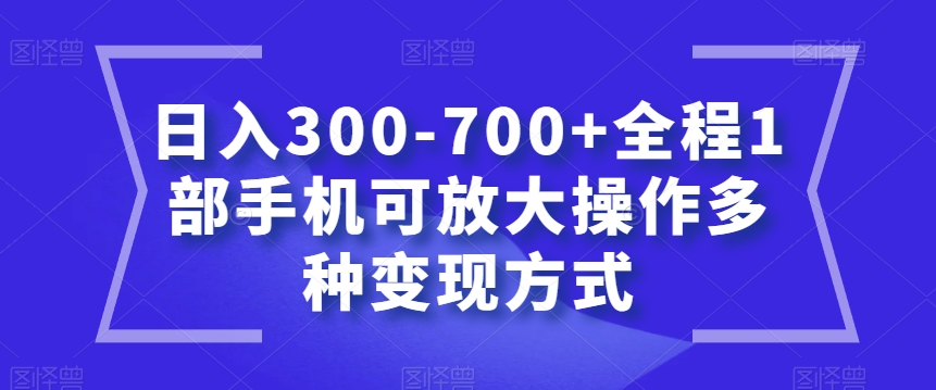 日入300-700+全程1部手机可放大操作多种变现方式【揭秘】-云创网