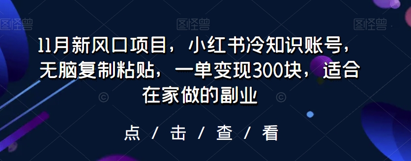 11月新风口项目，小红书冷知识账号，无脑复制粘贴，一单变现300块，适合在家做的副业-云创网