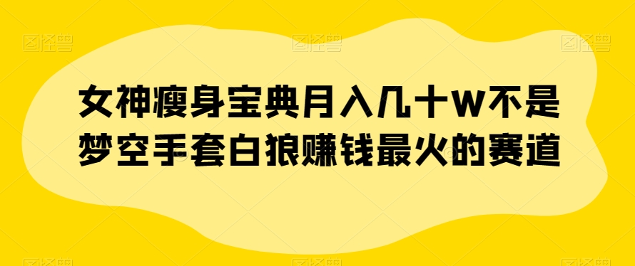 女神瘦身宝典月入几十W不是梦空手套白狼赚钱最火的赛道【揭秘】-云创网