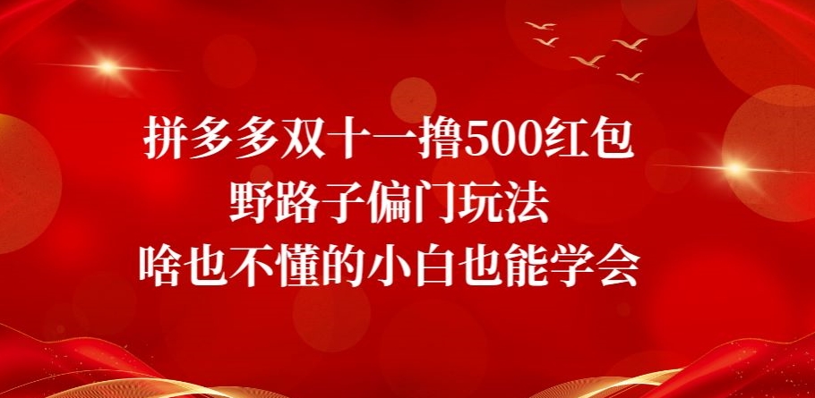 拼多多双十一撸500红包野路子偏门玩法，啥也不懂的小白也能学会【揭秘】-云创网