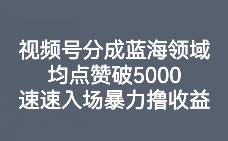 视频号分成蓝海领域，均点赞破5000，速速入场暴力撸收益-云创网