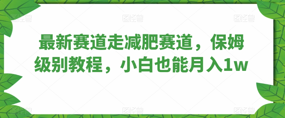 最新赛道走减肥赛道，保姆级别教程，小白也能月入1w-云创网